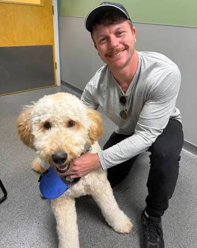 A smiling owner crouching beside his cream-coloured doodle after a visit